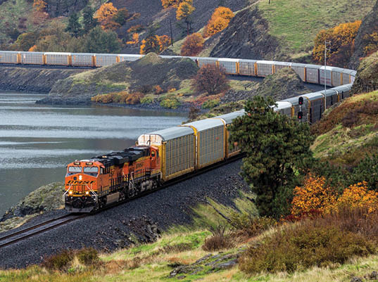 Guidance for Sustainability